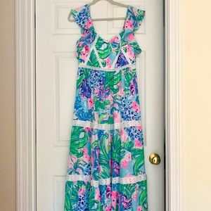 NWT Ivie Maxi Dress in Multi Kitten Around